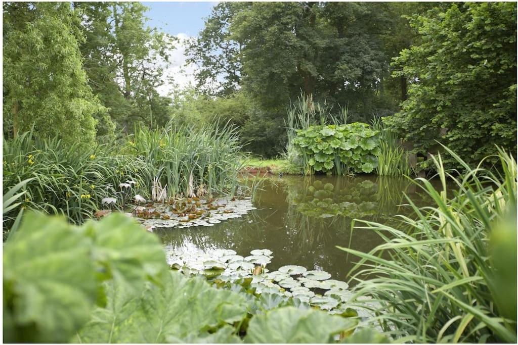 Ebony Cottage Tenbury Εξωτερικό φωτογραφία