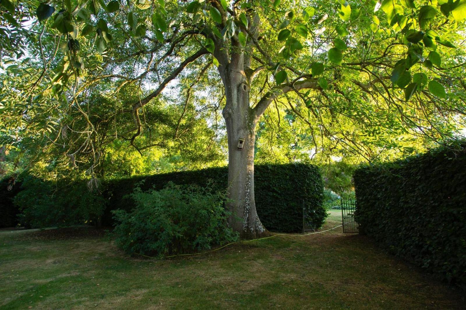 Ebony Cottage Tenbury Εξωτερικό φωτογραφία